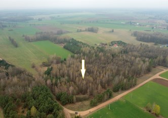 działka na sprzedaż - Świętajno, Piasutno