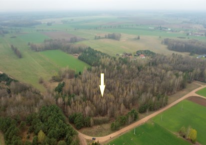 działka na sprzedaż - Świętajno, Piasutno