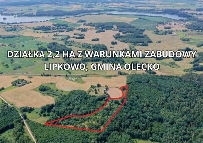 działka na sprzedaż - Olecko (gw), Lipkowo